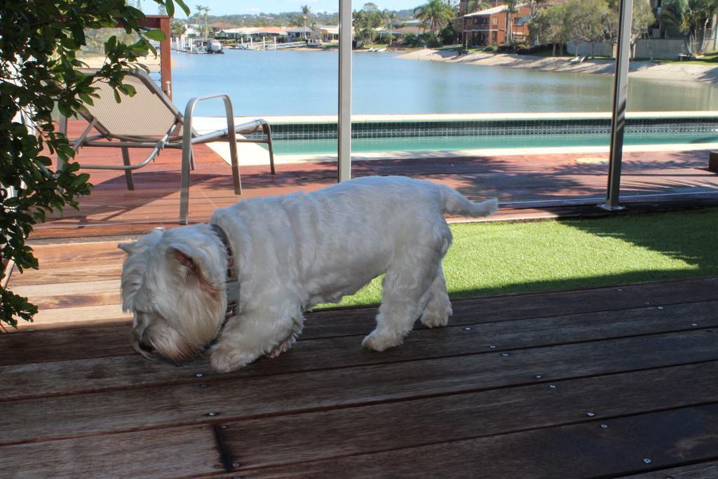 Saltwater Villas - Pet Friendly Accommodation Mooloolaba Exterior photo