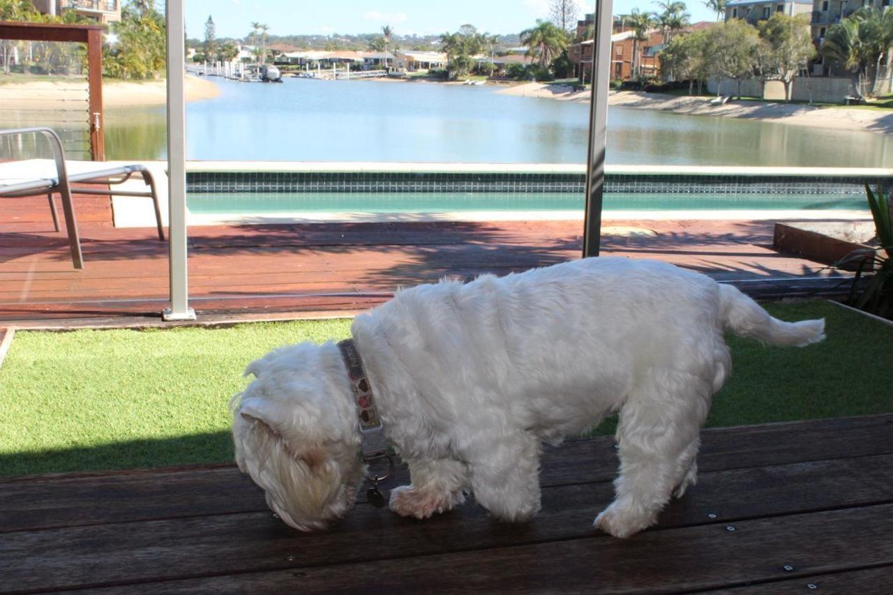 Saltwater Villas - Pet Friendly Accommodation Mooloolaba Exterior photo